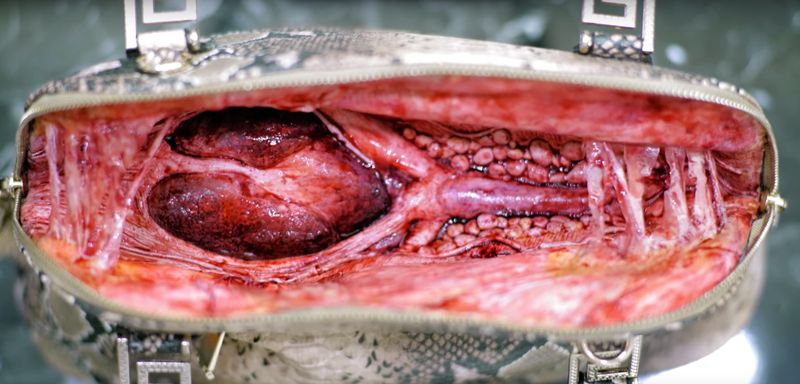 Innocent shoppers were covered in blood after trying on leather goods, and you won't believe why