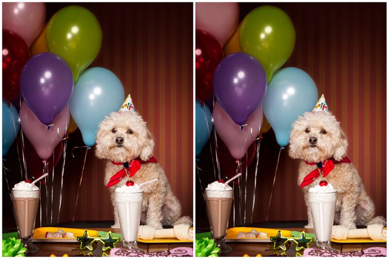 99% of People Can't Spot All 5 Differences - Can You?