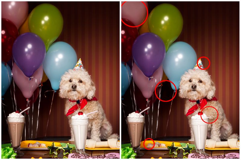 99% of People Can't Spot All 5 Differences - Can You?
