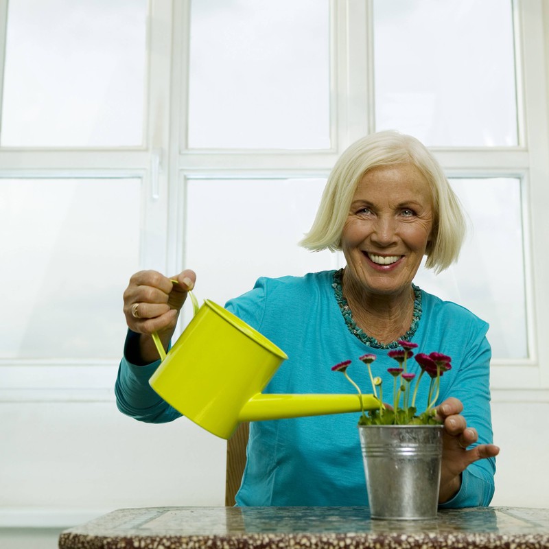 The late wife is probably very amused about her husband watering the plastic plants.