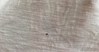 Where do those annoying little holes in your t-shirt come from?