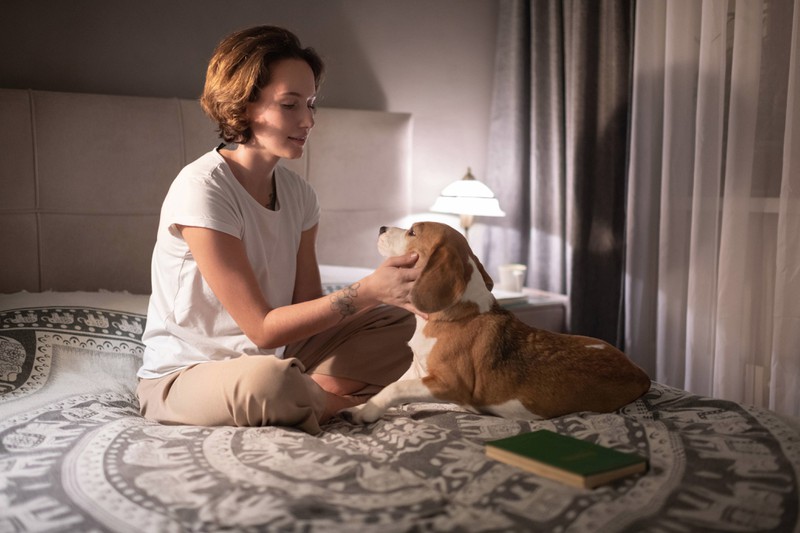 A woman shares her bed with her dog.