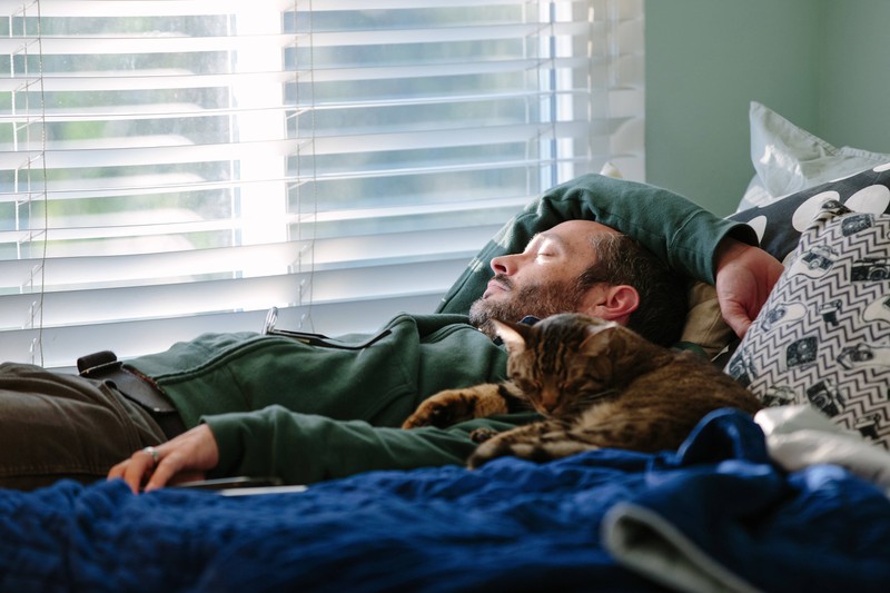 A cat is snug next to its owner.