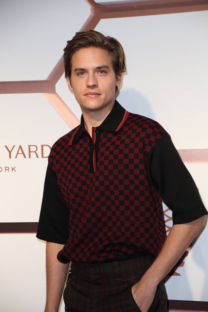 Dylan Sprouse used to work as an actor, but now he owns a brewery.