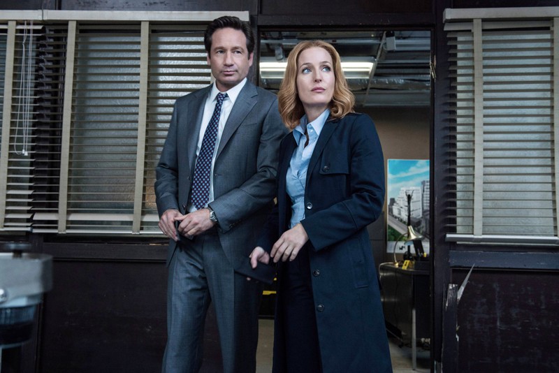 Gillian Anderson and David Duchovny only like each other when they had to play a couple.