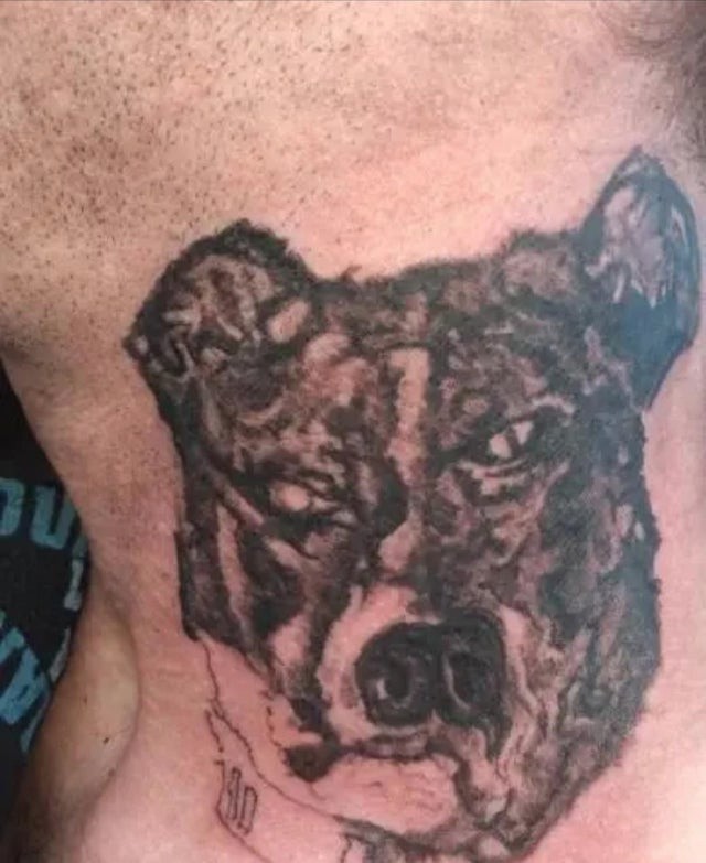 Failed tattoo of a dog