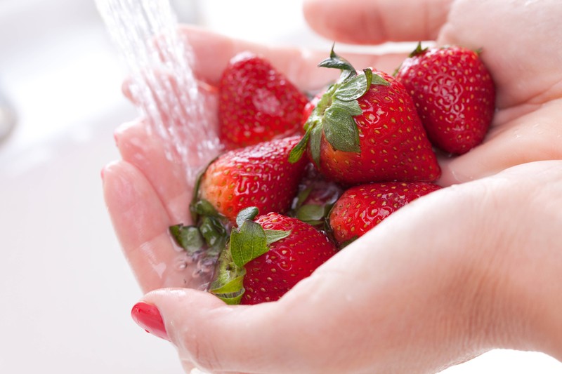 It is absolutely necessary to wash the strawberries before consuming them.