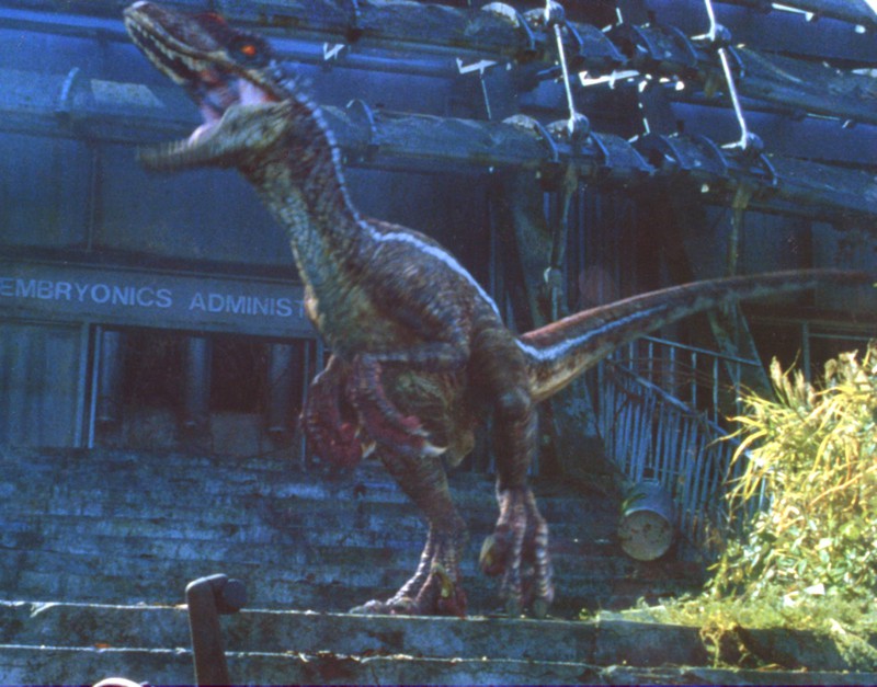 A big logical error has crept into "The Forgotten World: Jurassic Park".