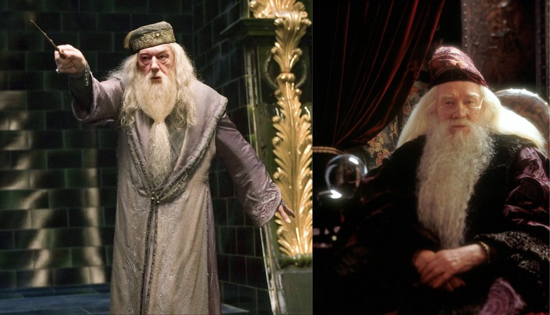 Richard Harris and Michael Gambon played Albus Dumbledore.
