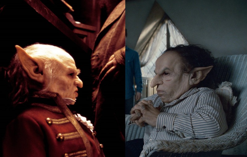 The goblin Griphook was played by two different actors