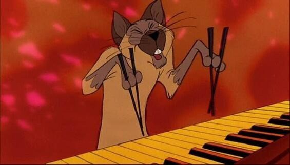 Chat siamois avec baguettes