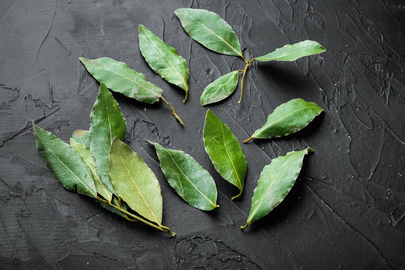Bay leaves are useful to fight foods