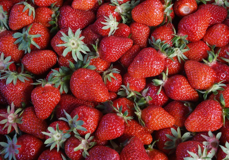 Il semble que les délicieuses baies doivent être lavées à l'eau salée pour se débarrasser des insectes indésirables qu'elles contiennent.