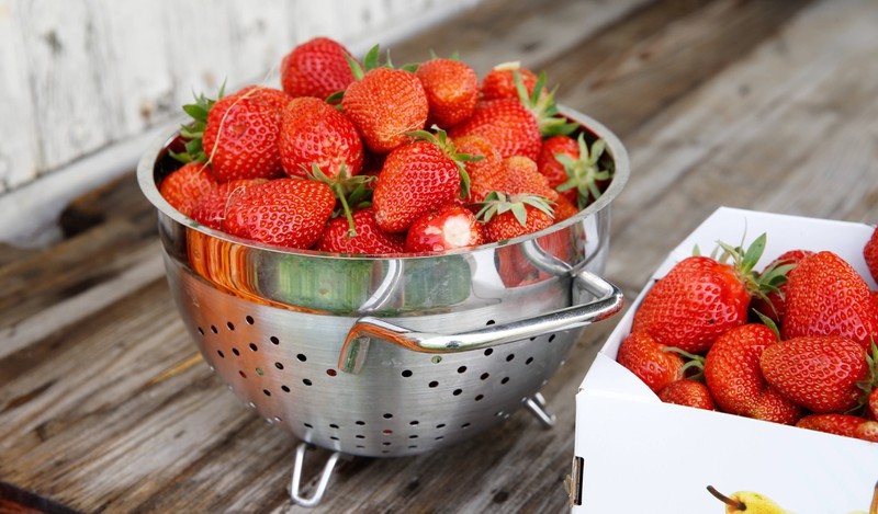 Selon la région et les conditions climatiques, les fraises poussent d'avril à mai.