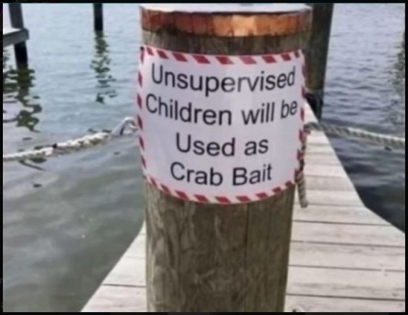 Unsupervised children will be used as crab bait
