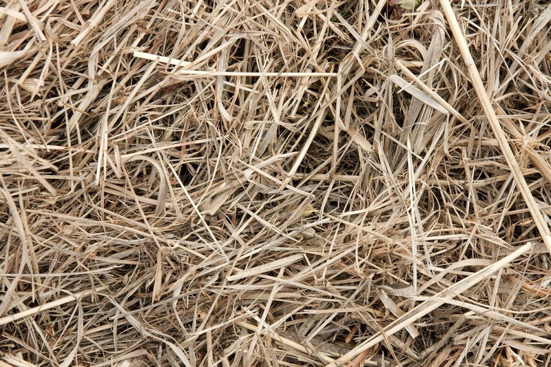 Dry hay retains moisture and less decomposition gases are formed