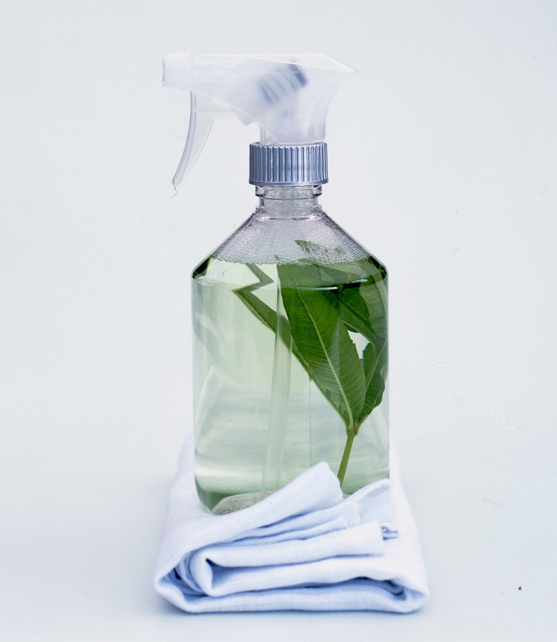 Vinegar Spray is effective against maggots