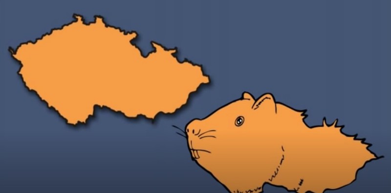 The European country resembles a guinea pig.