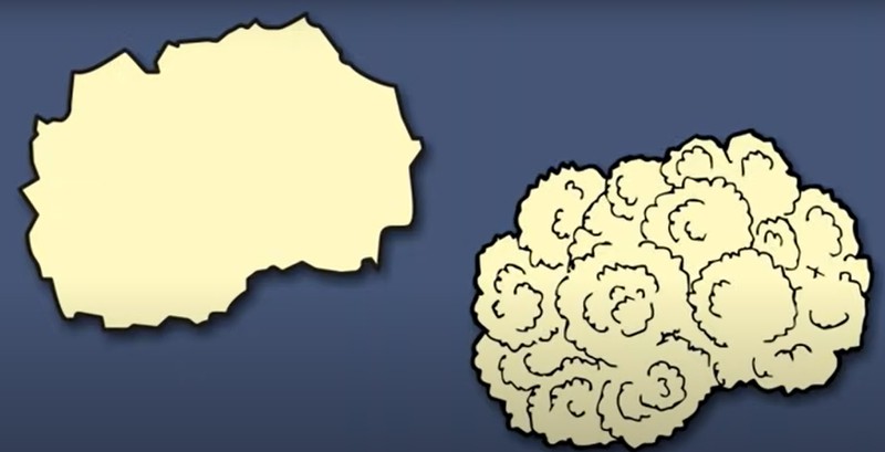 Who else would have seen cauliflower in northern Macedonia?