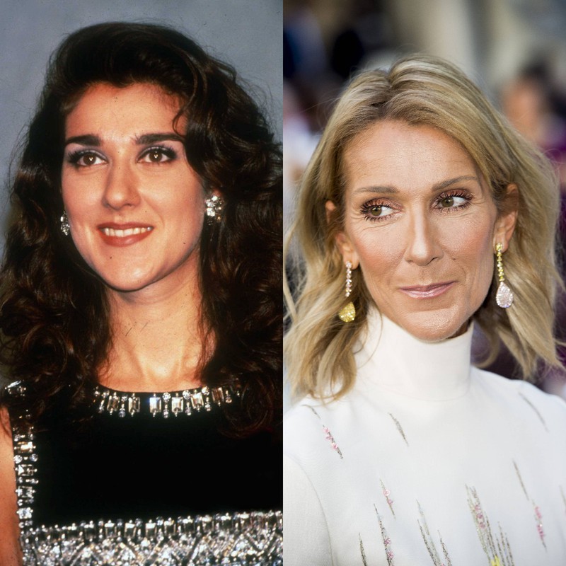 Celine Dion is one of the best singers of our time. But in the past, she had a completely different look